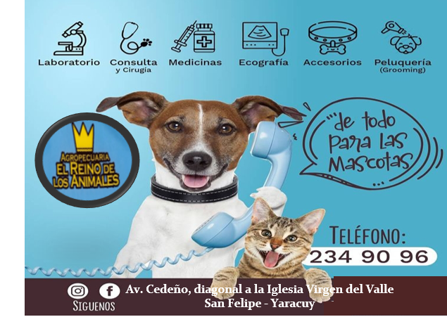 EL REINO DE LOS ANIMALES